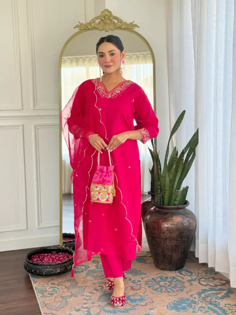 Organza Kurta sets