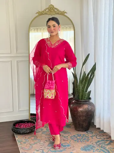 Organza Kurta sets